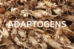 Adaptogens:  Ancient Herbs for Modern Times